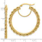 Załaduj obraz do przeglądarki galerii, 10K Yellow Gold 38mm x 2.95mm Rope Round Hoop Earrings