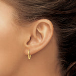 Load image into Gallery viewer, 10K Yellow Gold Hinged Hoop Earrings