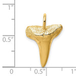 Load image into Gallery viewer, 14k Yellow Gold Shark Tooth Pendant Charm
