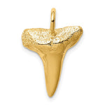 Load image into Gallery viewer, 14k Yellow Gold Shark Tooth Pendant Charm