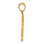 Ladda upp bild till gallerivisning, 14k Yellow Gold Lion Head with Crown Pendant Charm