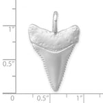Afbeelding in Gallery-weergave laden, Sterling Silver Shark Tooth Large 3D Pendant Charm Rhodium Plated