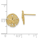 Load image into Gallery viewer, 14k Yellow Gold Sand Dollar Starfish Post Push Back Earrings