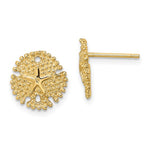 Load image into Gallery viewer, 14k Yellow Gold Sand Dollar Starfish Post Push Back Earrings