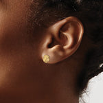 Load image into Gallery viewer, 14k Yellow Gold Sand Dollar Starfish Post Push Back Earrings