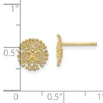 Load image into Gallery viewer, 14k Yellow Gold Sand Dollar Starfish Post Push Back Earrings