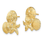 Загрузить изображение в средство просмотра галереи, 14k Yellow Gold Sand Dollar Starfish Clam Scallop Shell Post Push Back Earrings