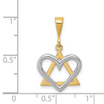Lade das Bild in den Galerie-Viewer, 14k Gold Two Tone Star of David Heart Pendant Charm