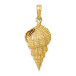 Load image into Gallery viewer, 14K Yellow Gold Conch Shell Seashell Ocean Sea Beach Life Pendant Charm