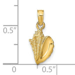 Afbeelding in Gallery-weergave laden, 14K Yellow Gold Conch Shell Seashell Ocean Sea Life Pendant Charm