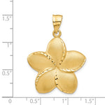 Kép betöltése a galériamegjelenítőbe: 14k Yellow Gold Plumeria Flower Large Pendant Charm