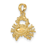 Load image into Gallery viewer, 14k Yellow Gold Cancer Zodiac Horoscope 3D Pendant Charm