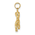 Załaduj obraz do przeglądarki galerii, 14k Yellow Gold Capricorn Zodiac Horoscope 3D Pendant Charm