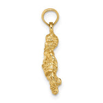 Afbeelding in Gallery-weergave laden, 14k Yellow Gold Aquarius Zodiac Horoscope 3D Pendant Charm