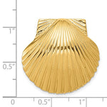 Load image into Gallery viewer, 14k Yellow Gold Seashell Clam Scallop Shell Chain Slide Pendant Charm
