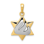 Lade das Bild in den Galerie-Viewer, 14k Yellow White Gold Two Tone Star of David Pendant Charm