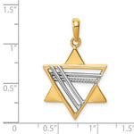 Lade das Bild in den Galerie-Viewer, 14k Yellow White Gold Two Tone Star of David Pendant Charm