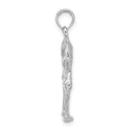 Carica l'immagine nel visualizzatore di Gallery, 14k White Gold Flamingo 3D Pendant Charm