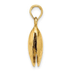 이미지를 갤러리 뷰어에 로드 , 14k Yellow Gold Mussel Shell 3D Pendant Charm