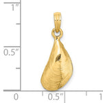 이미지를 갤러리 뷰어에 로드 , 14k Yellow Gold Mussel Shell 3D Pendant Charm