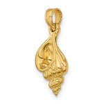 Cargar imagen en el visor de la galería, 14k Yellow Gold Conch Shell Seashell 3D Small Pendant Charm