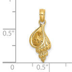Cargar imagen en el visor de la galería, 14k Yellow Gold Conch Shell Seashell 3D Small Pendant Charm
