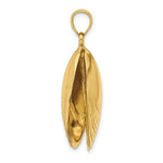 Carica l'immagine nel visualizzatore di Gallery, 14k Yellow Gold Mussel Shell 3D Pendant Charm
