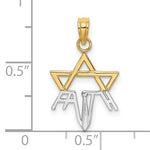 Load image into Gallery viewer, 14k Yellow Gold and Rhodium Star of David Pendant Charm