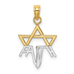 Load image into Gallery viewer, 14k Yellow Gold and Rhodium Star of David Pendant Charm