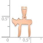 Load image into Gallery viewer, 14K Rose Gold Chai Symbol Pendant Charm