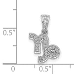 Charger l'image dans la galerie, 14k White Gold Genuine Diamond Capricorn Zodiac Horoscope Pendant Charm