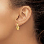 Carregar imagem no visualizador da galeria, 14K Yellow Gold Classic Polished Hoop Earrings