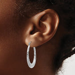 Afbeelding in Gallery-weergave laden, 14K White Gold Shrimp Twisted Oval Hoop Earrings