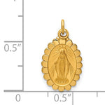 Carregar imagem no visualizador da galeria, 14k Yellow Gold Blessed Virgin Mary Miraculous Medal Oval Scalloped Edge Small Pendant Charm