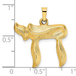 Load image into Gallery viewer, 14K Yellow Gold Chai Symbol Brushed Finish Pendant Charm