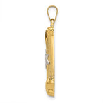 Load image into Gallery viewer, 14K Yellow White Gold Two Tone Torah with Star of David Pendant Charm