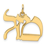 Load image into Gallery viewer, 14k Yellow Gold Mazel Symbol Pendant Charm