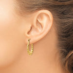 Charger l'image dans la galerie, 14K Yellow Gold Shrimp Scalloped Twisted Hoop Earrings
