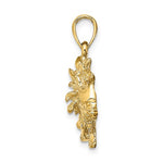 Afbeelding in Gallery-weergave laden, 14k Yellow Gold Leo Zodiac Horoscope Large Pendant Charm