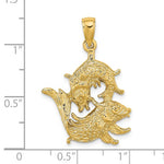 Afbeelding in Gallery-weergave laden, 14k Yellow Gold Pisces Zodiac Horoscope Large Pendant Charm
