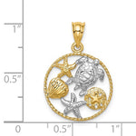 Load image into Gallery viewer, 14k Yellow Gold Rhodium Turtle Sand Dollar Starfish Seashell Shell Pendant Charm