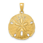 Load image into Gallery viewer, 14k Yellow Gold Sand Dollar Pendant Charm