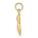 Lade das Bild in den Galerie-Viewer, 14k Yellow Gold Shell Seashell Starfish Sand Dollar Cluster Pendant Charm