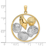 이미지를 갤러리 뷰어에 로드 , 14k Yellow Gold Rhodium Sand Dollar Starfish Scallop Clam Conch Shell Circle Pendant Charm