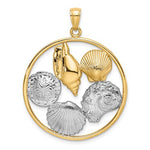 이미지를 갤러리 뷰어에 로드 , 14k Yellow Gold Rhodium Sand Dollar Starfish Scallop Clam Conch Shell Circle Pendant Charm