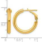 Load image into Gallery viewer, 10K Yellow Gold Classic Hoop Omega Back Round Hoop Earrings 22mm x 3mm
