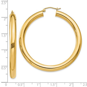 10k Yellow Gold 50mm x 5mm Classic Round Hoop Earrings