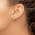 Загрузить изображение в средство просмотра галереи, 14k Yellow Gold Sand Dollar Starfish Post Push Back Earrings
