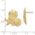 Indlæs billede til gallerivisning 14k Yellow Gold Sand Dollar Starfish Clam Scallop Shell Post Push Back Earrings
