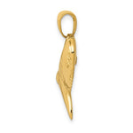 Lataa kuva Galleria-katseluun, 14k Yellow Gold Shark Tooth 3D Pendant Charm
